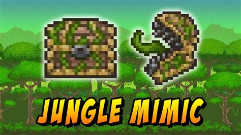 Terraria jungle mimic - The Corrupt Mimic is a miniboss that spawns rarely in the Underground Corruption. It can be spawned by putting a Key of Night into any empty chest. The chest will then turn into a Corrupt Mimic in a world that contains the Corruption. It is a bigger, more offensive Mimic. It has 3500 health and attacks by lunging or stomping on the player. Its stomp attack can …